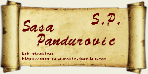 Saša Pandurović vizit kartica